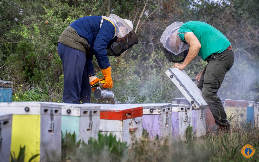 From Nectar to Honey - Gastronomy Tours 34 - Gastronomy Tours